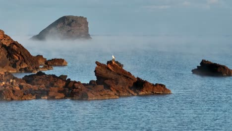 Seagulls-at-Rocky-clifftops-of-Spanish-Island-Menorca-in-Western-Europe
