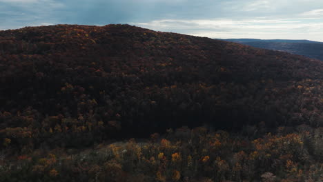 Üppiger-Wald-Während-Der-Herbstsaison-In-Der-Nähe-Des-Lee-Creek-River-Im-Washington-County,-Arkansas