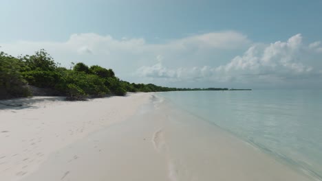A-Smooth-Tracking-Shot-Of-A-Grove-Along-The-Coast-With-The-White-Beach-Sand