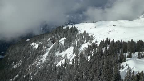 Drone-Aéreo-Disparado-Sobre-árboles-Coníferos-A-Lo-Largo-De-La-Ladera-De-La-Montaña-En-Engelberg-Brunni-Bahnen-En-Los-Alpes-Suizos-En-Suiza-En-Un-Frío-Día-De-Invierno