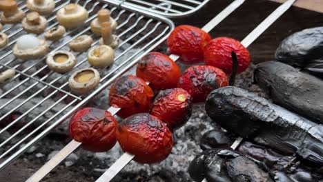 Grill-outside-in-nature-Barbecue-tomato-roast-mushroom-grilled-eggplant-on-campfire-burn-skin-charcoal-wood-fire-in-Iran-family-picnic-in-countryside-local-food-cuisine-with-garlic-olive-oil-recipe
