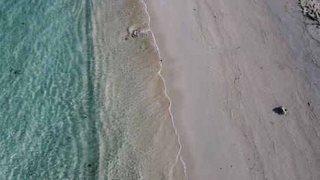 A-isolated-beach-shoreline-on-tropical-island-in-the-Indian-Ocean