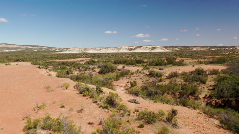 Forward-Traveling-Bush-Desert-East-Coast-Argentina-Rawson-Chubut-Argentina-Ocher-Sand