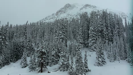 Filmische-Luftaufnahmen-Colorado-Winter-Frühling-Tiefer-Pulverschnee-Schneit-Bedeckte-Bäume-Loveland-Skigebiet-Eisenhower-Tunnel-Coon-Hill-Backcountry-I70-Schwere-Kontinentale-Wasserscheide-Rocky-Mountains-Langsam-Vorwärts