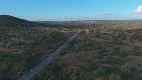 Straight-two-way-road-in-middle-of-Holm-oak-groves-in-Los-Pedroches,-Cordoba