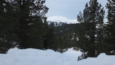 Sass-De-Putia,-Bolzano,-Italia---Una-Observación-De-Una-Montaña-Cubierta-De-Nieve-Y-Adornada-Con-árboles-De-Hoja-Perenne---Plano-Amplio
