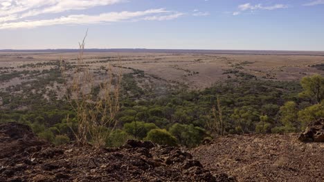 View-across-a-plain-to-the-horizon-in-outback-Australia,-near-Winton