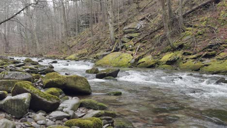 A-beautiful-fishing-stream-in-New-York's-Catskill-Mountains-on-a-rainy-early-spring-day
