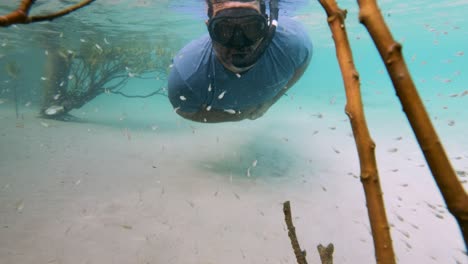 Bürgerwissenschaftler,-Der-Meeresforschung-Durchführt,-Untersucht-Einen-Fischschwarm,-Der-Ein-Mangroven-Ökosystem-Bewohnt