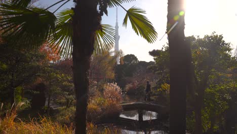 Beautiful-scenery-inside-Japanese-landscape-garden-with-male-traveler-and-skytree
