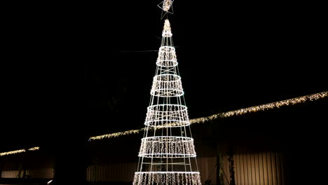 Illuminated-outdoor-Christmas-tree-at-night