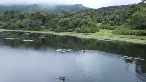 Scenic-drone-shot-of-Kookal-Lake-in-Kodaikanal,-Ducks-swimming-in-lake,-India