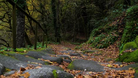 Stone-Path-to-San-Pedro-de-Rocas-monastery,-Galicia