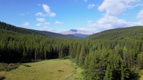 A-drone-flies-above-a-forested-valley-revealing-an-open-glade-with-a-small-creek-meandering-as-the-backdrop-of-the-Rocky-mountains-grows-closer