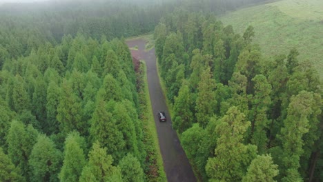 Aerial-view-of-car-driving-in-middle-of-forrest-in-Azores-Portugal