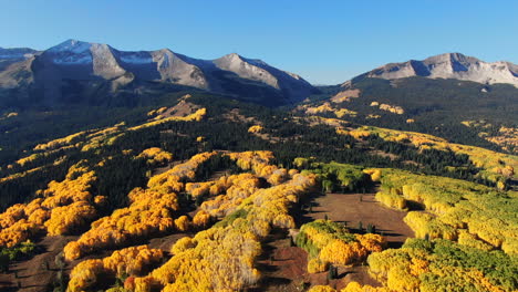 Stunning-bright-bluebird-sunny-sunrise-morning-autumn-Aspen-tree-forest-fall-golden-yellow-colors-Kebler-Pass-aerial-cinematic-drone-Crested-Butte-Gunnison-Colorado-Rocky-Mountains-right-motion
