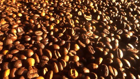 Nahaufnahme-Von-Kaffeesamen