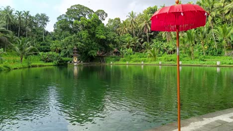 Hermoso-Y-Místico-Lago-Silencioso-Estanque-De-Peces-Bosque-Verde-Con-Fondo-Templo-Hindú-Y-Paraguas-Rojo-En-El-Destino-Turístico-Sangeh-Bali