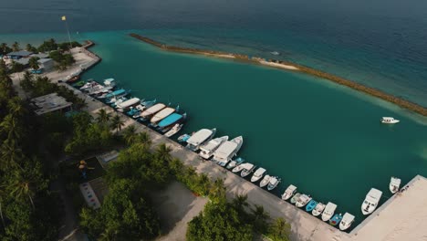 An-Aerial-Shot-Of-A-Series-Of-Boats-Parked-At-The-Harbor-And-A-Walkway-By-The-Trees
