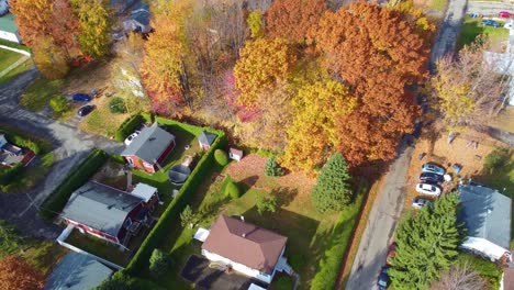 Aerial-Drone-Shot-Above-Colorful-Trees-in-Autumn-Landscape-American-Neighborhood