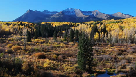 Stunning-bright-bluebird-sunny-sunrise-morning-autumn-Aspen-tree-forest-fall-golden-yellow-colors-Kebler-Pass-aerial-cinematic-drone-Crested-Butte-Gunnison-Colorado-Rocky-Mountains-forward-up