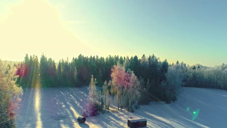 Drone-flies-through-snowy-flurries-above-forest-and-shed-in-winter