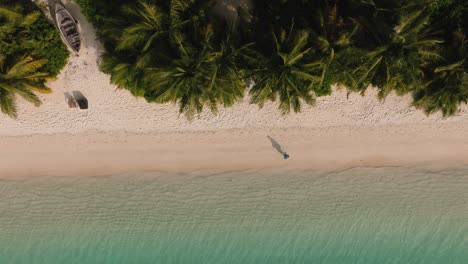 An-Aerial-View-Of-A-Person-Walking-Along-The-Coast-On-The-White-Beach-Sand-Near-Palm-Trees
