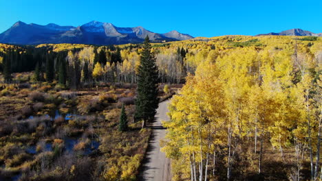 Stunning-bright-bluebird-sunny-sunrise-morning-autumn-Aspen-tree-forest-fall-golden-yellow-colors-Kebler-Pass-aerial-cinematic-drone-Crested-Butte-Gunnison-Colorado-Rocky-Mountains-road-trail-forward