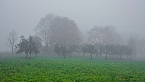 Misty,-foggy-day-at-sunrise-to-reveal-a-farmhouse-under-a-colorful-tree-with-autumn-leaves---time-lapse
