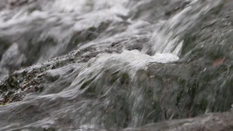 Wasser-Fließt-über-Felsen-In-Einem-Kleinen-Bach