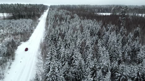 Drone-rises-above-snow-covered-pine-tree-forest-with-powder-covering-straight-countryside-rural-road