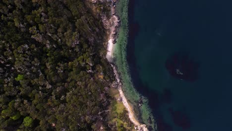 Top-down-drone-shot-flying-along-the-shores-of-the-Beagle-Channel-near-Ushuaia,-Argentina