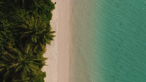 An-Aerial-View-Of-The-Sea-Waves-Flowing-Smoothly-On-The-Beach-And-A-Forest-With-Palm-Trees