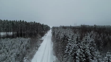 Snow-covered-conifer-pine-tree-forest-lines-rural-country-road-under-grey-sky