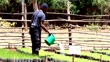 Grüner-Umweltschutz-–-Junge-Afrikanische-Männer-Pflanzen-Bäume-In-Der-Baumschule