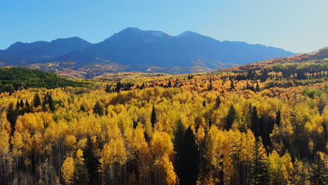 Dramatic-bright-sunny-sunrise-morning-autumn-Aspen-Tree-fall-golden-yellow-colors-Kebler-Pass-aerial-cinematic-drone-landscape-Crested-Butte-Gunnison-Colorado-Rocky-Mountains-road-trail-forward-up