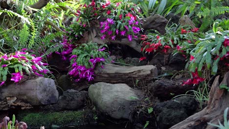 Tiro-Deslizante-Lento-Sobre-Hermosas-Y-Vibrantes-Plantas-Con-Flores-Vibrantes