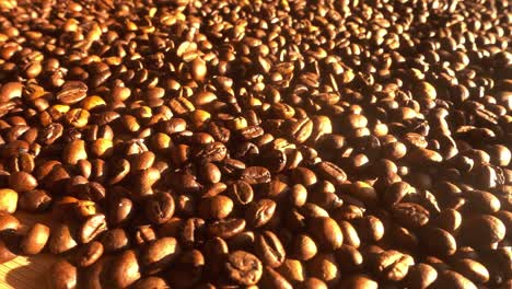 Close-up-of-seeds-of-coffee