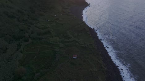 Tilt-up-drone-shot-of-Fajã-de-Lopo-Vaz-Flores-Azores,-Portugal