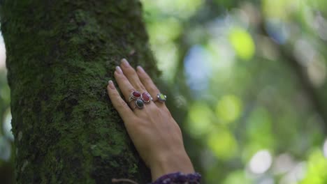 Female-hand-with-rings-and-bracelets,-caressing-tree-in-the-middle-of-the-forest-and-nature