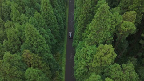 Top-view-of-a-car-driving-on-road-in-middle-of-forrest-at-Azores-Island,-aerial