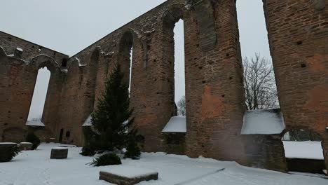 Pirita-Invita-A-Ruinas-En-Tallin-Estonia