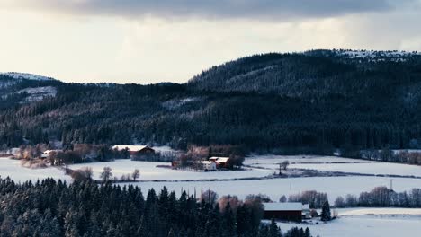 Coniferous-Forest-Mountain-On-A-Countryside-Farm-Village-During-Winter-In-Indre-Fosen,-Norway