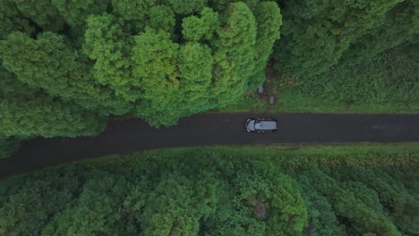 Top-view-of-car-driving-along-trees-on-small-road-at-Azores---drone-shot