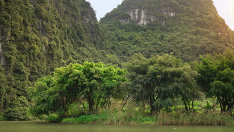 Lush-mountains-and-trees-in-Ninh-Bình,-Vietnam