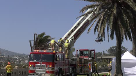 Feuerwehrleute-Reagieren-Auf-Die-Rettung-An-Einer-Klippe