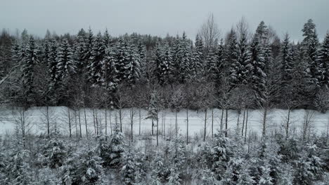 Aerial-tracking-shot-of-a-road-in-middle-of-snowy-forest-on-a-dark,-cloudy-day
