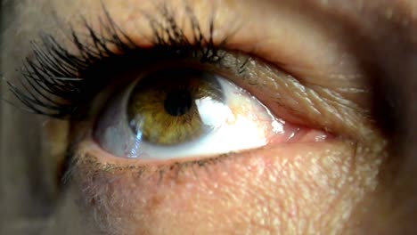 Nahaufnahme-Eines-Auges-Einer-Frau-Mit-Sichtbarer-Iris-Und-Blutkapillaren