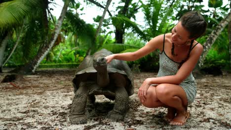 Static-shot-old-Centenarian-tropical-turtle-being-petted-by-happy-female-tourist