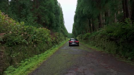 Following-shot-of-car-driving-along-forrest-at-Azores-island-Portugal,-aerial